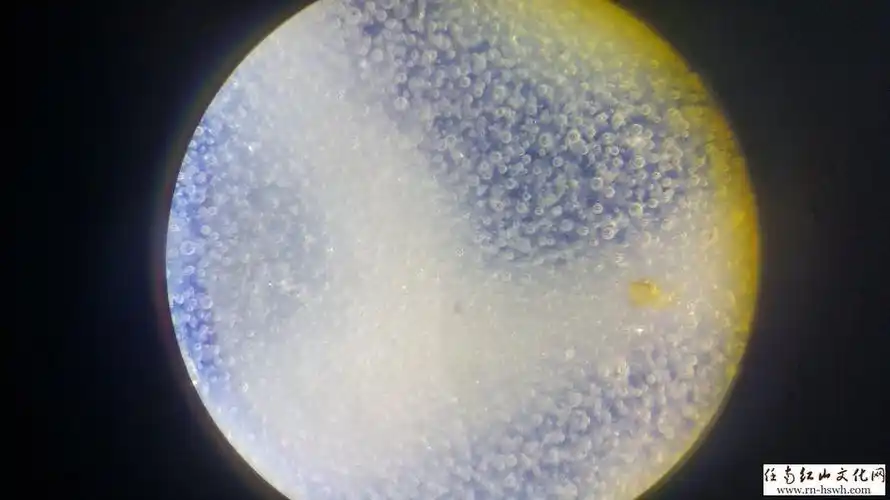 绝杀赝品——瓷器死亡气泡鉴定方法