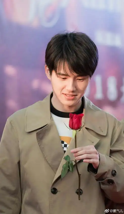 刘昊然唐人街探案2秦风