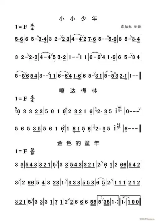 竹笛入门练习曲五小小少年嘎达梅林金色的童年