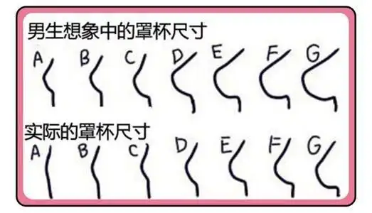 女性abcd那个罩杯更小