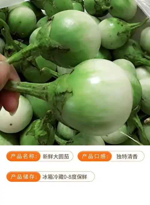 寻味君 泰国品种大圆茄 圆茄子咖喱菜食材 新鲜蔬菜 3斤【图片 价格