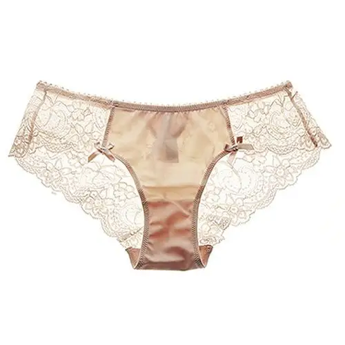 女人的秘密 欧美蕾丝透明诱惑性感三角裤 女士低腰三角内裤
