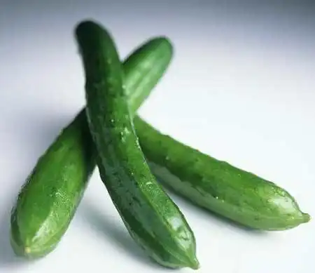 看美女如何用"黄瓜"爽到high