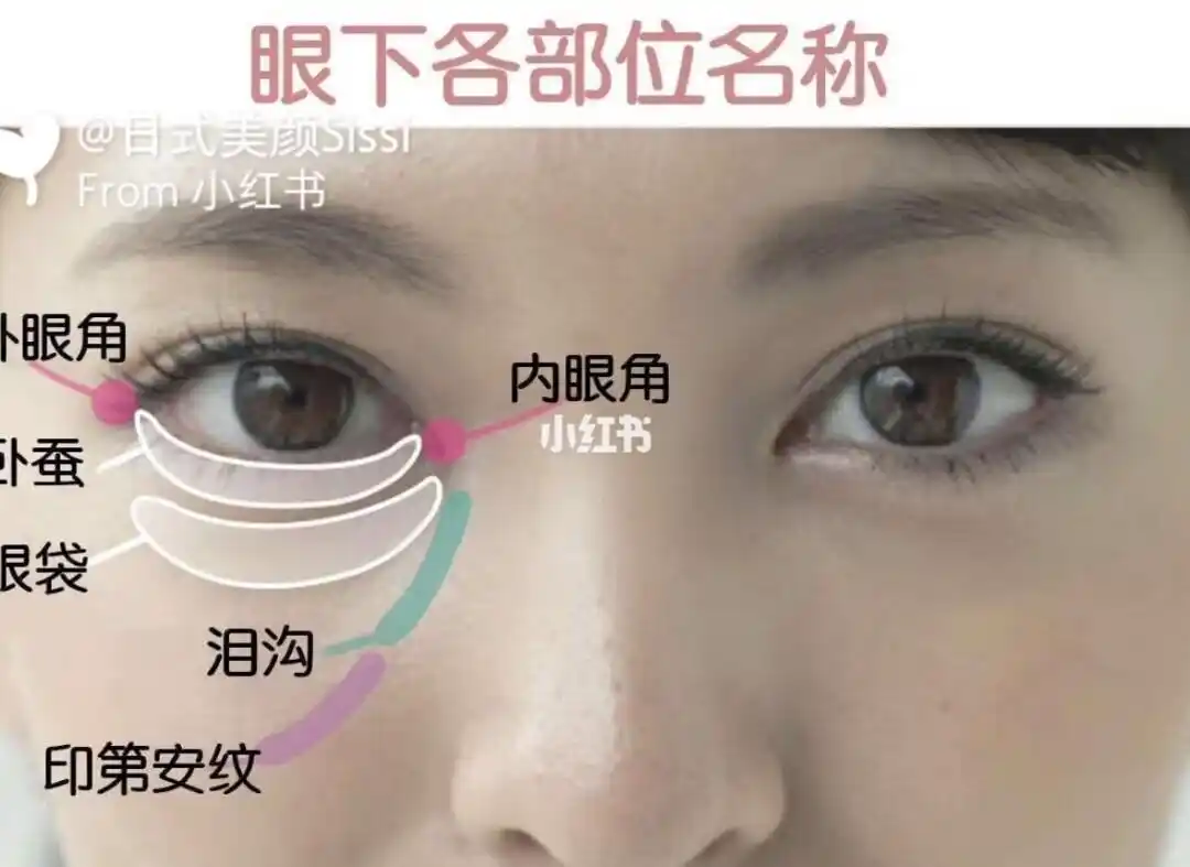 下眼睑的各个部位,大家都可以叫出来名字嘛?