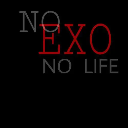 exo,文字背景,exo壁纸拿图收藏 二传标明池糖