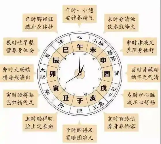 十二时辰养生法脉络通畅心如水,一觉睡到金鸡鸣.