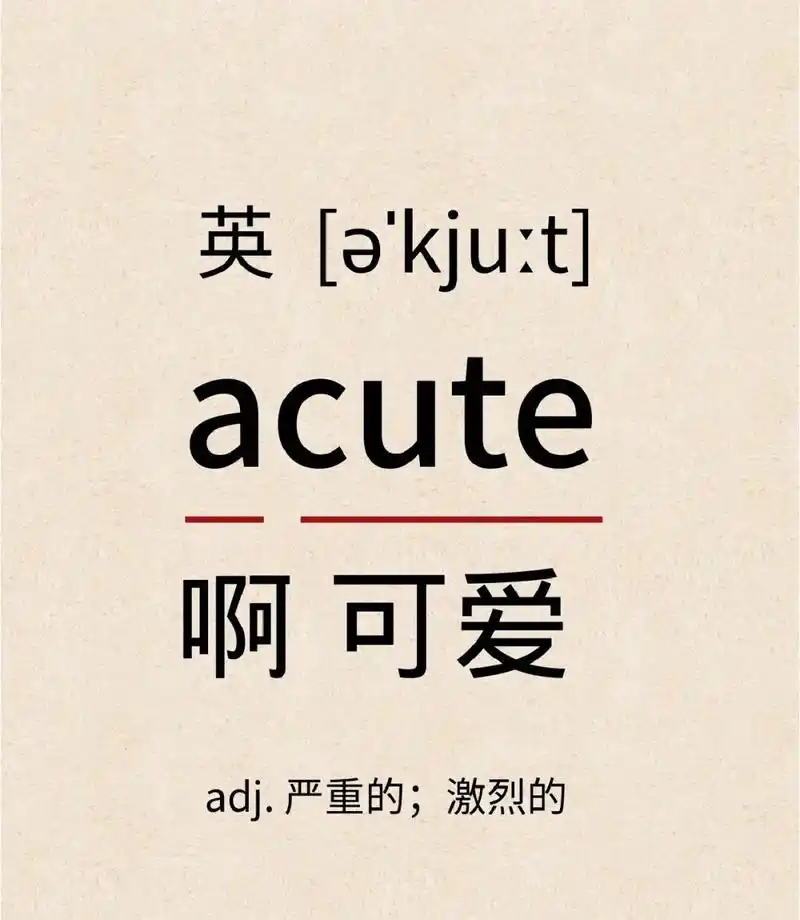 一个可爱的英语翻译