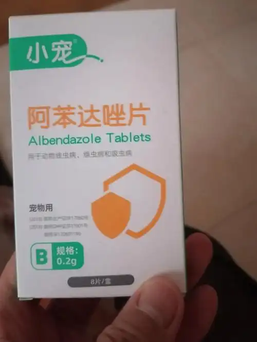 每年春天他就挑食但今年更甚,给买了磨牙棒吃,又给买了打虫药按体重喂