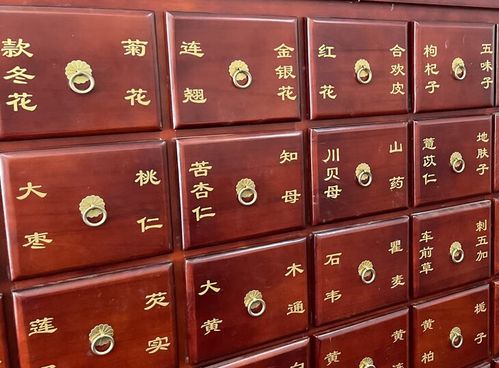 科茵格中药柜名字贴药名标签 金色镂空斗谱贴 不干胶贴纸草药 小尺寸