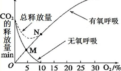 无氧呼吸公开课学案设计
