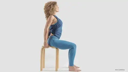 屈膝眼镜蛇第一步