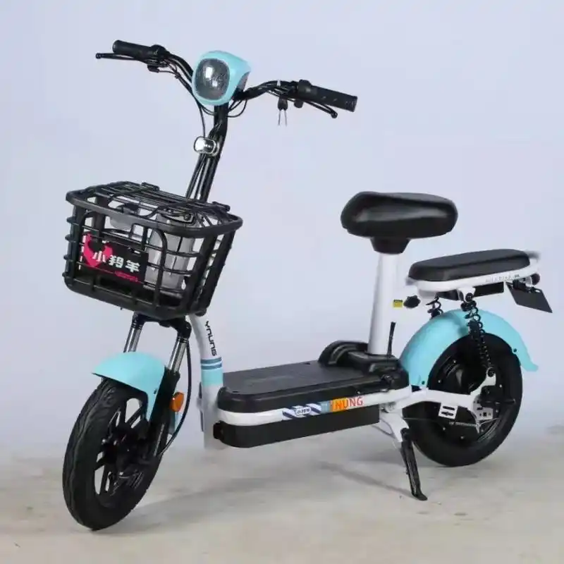 特米1199.小羚羊48v电动车,续航50公里,小巧玲珑,自 - 抖音