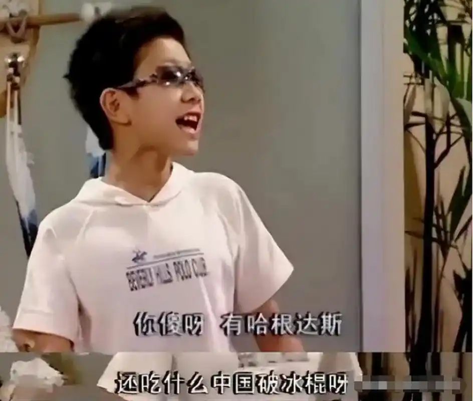 夏天来了,每次我吃雪糕的时候,我都会剧中刘星那句台词:"有哈根达斯