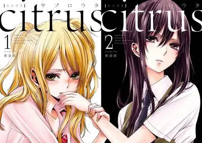 citrus柑橘味香气