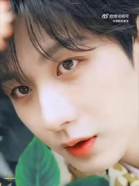 成毅虞书欣一年级同框照