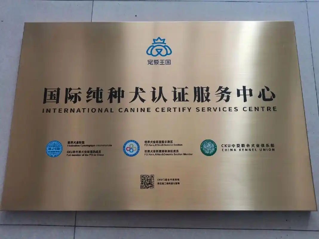 辽宁鞍山cku证书代办点 注射芯片,抽血,扫鼻纹,办证书,犬舍挂靠#我家