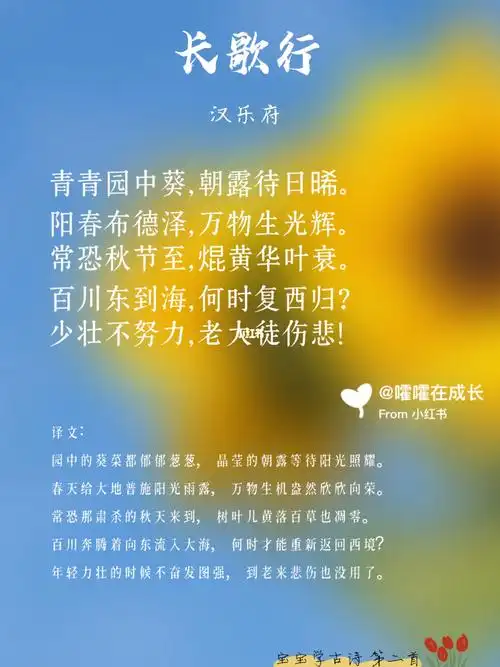 每天一首古诗词长歌行