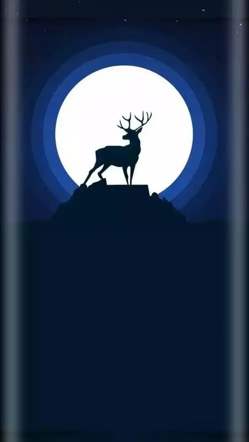 曲面屏手机壁纸星夜里一束微光