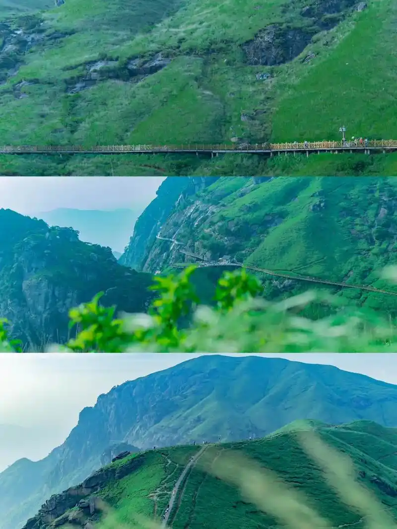 江西|武功山旅行攻略 这个夏天总要去看一次高山草甸的治愈色 - 抖音