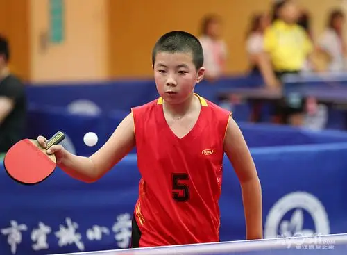 丹徒区小学生乒乓球比赛圆满结束