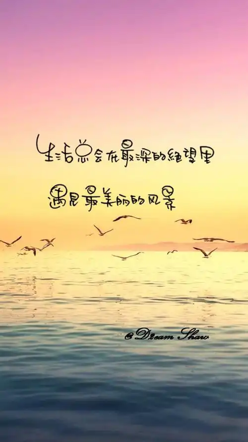 一段文字.一种心情