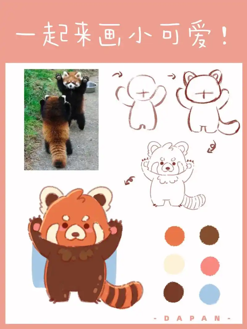不允许你们还不会画4丨q版动物丨小熊猫 大家好,今天画一只小熊猫  9