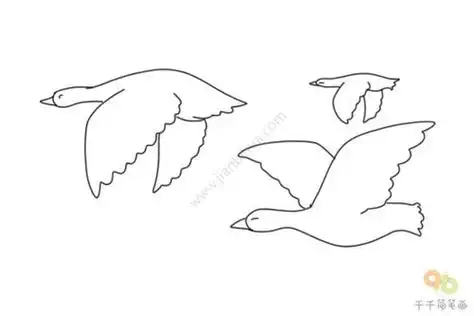 大雁简笔画三步大雁简笔画三步步骤