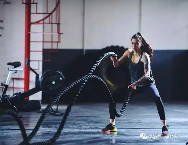 前所未有的挑战  全身的耐力,爆发力,协调   心肺功能的提升  核心