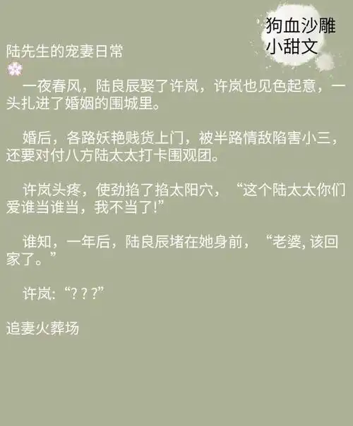 「言情推文」9本热血沙雕小甜文|强推《公主她是团宠》