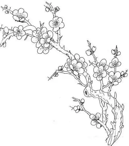 画梅花简笔画铅笔画梅花简笔画
