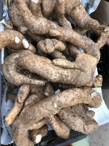 许昌鸠山 - 美篇