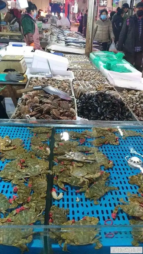 彩屯农贸市场海鲜摊位