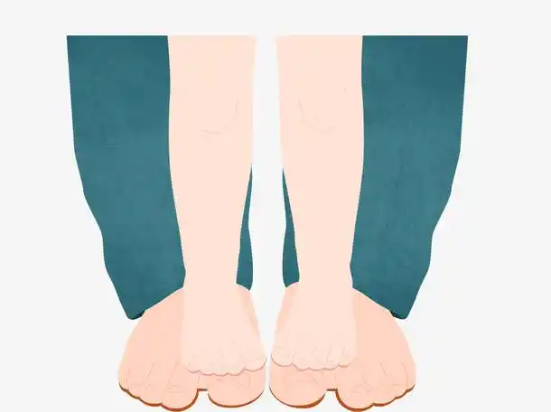 矢量手绘大脚与小脚