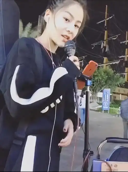 农民歌手花姐个人资料