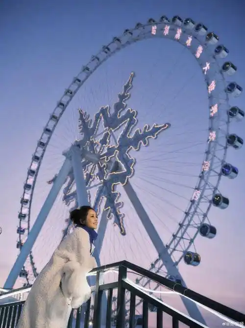 佟丽娅分享雪景美照,笑容甜美宛如梦中情人,与儿子同框超温柔