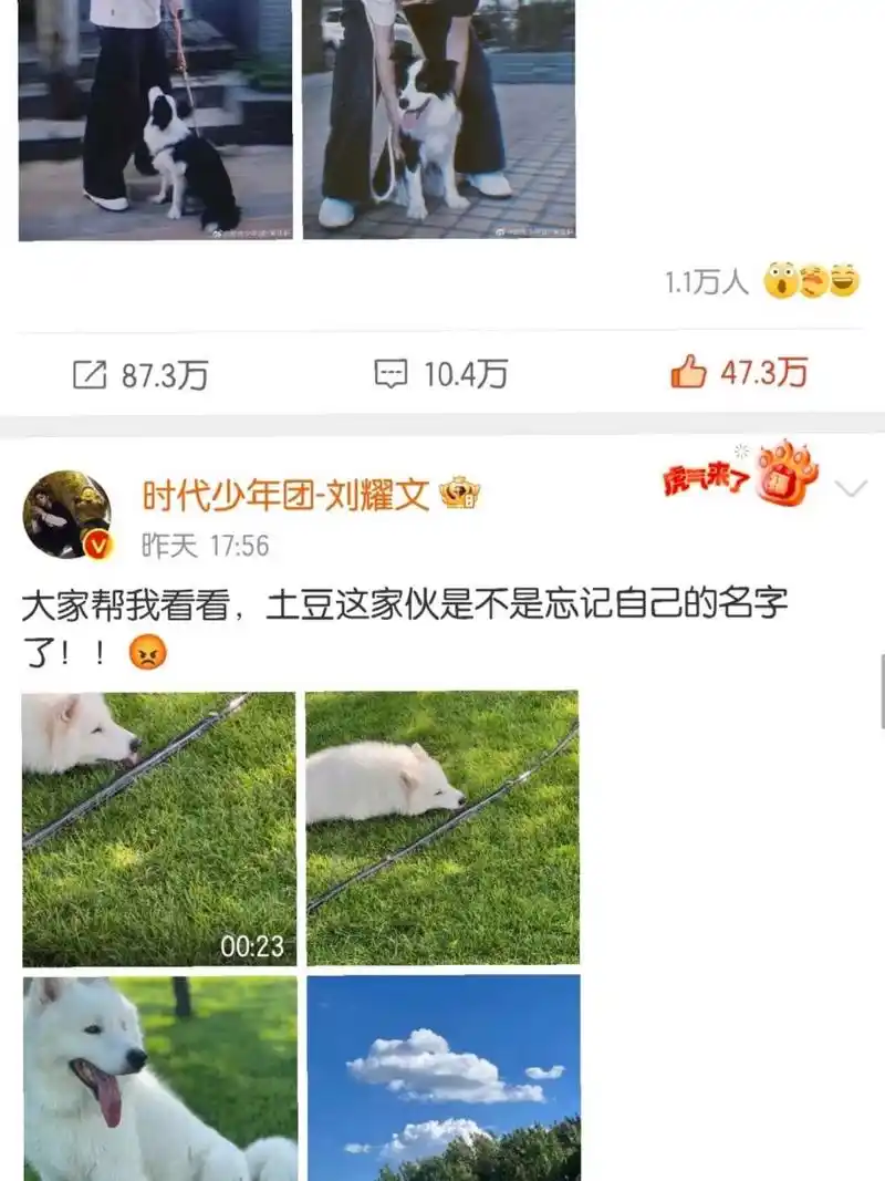 鼠标土豆都去大别墅啦! #tnt时代少年团# #宋亚轩# #刘耀文