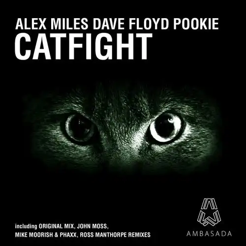 catfight (mike moorish & phaxx remix)_alex miles,dave floyd