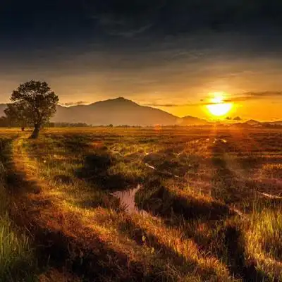 qq头像景物清自然风光在阳光的照耀下瑰丽无比