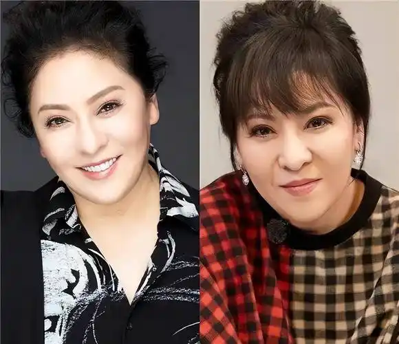 又被"向太"陈岚惊艳到了,穿衣不装嫩不老气,每款都经典不过时_中老年