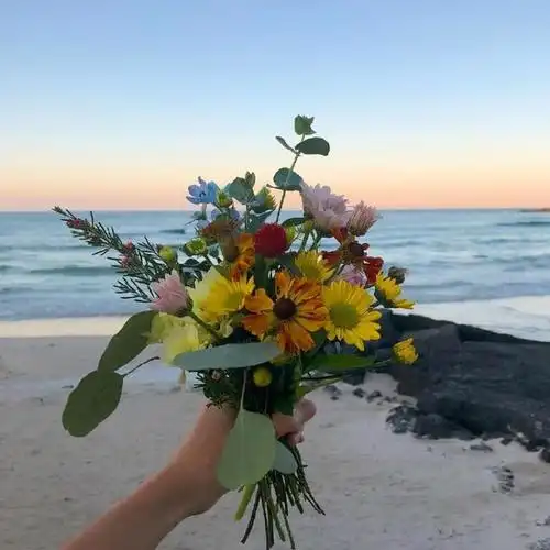 早晨的阳光的美好的句子秋天早晨的阳光唯美句子