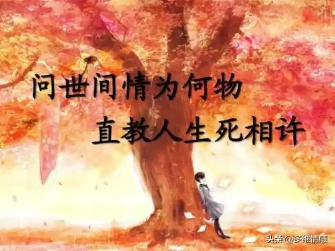 一厢情愿的爱情有必要吗为什么说一厢情愿爱一个人很蠢