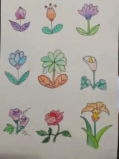 随手画个简笔画之小花花