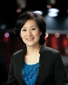 上海东方卫视美女主播何婕