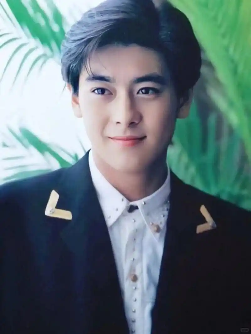 30岁的林志颖17岁的刘亦菲,再也回不去了  30岁的林志颖17岁的刘亦菲