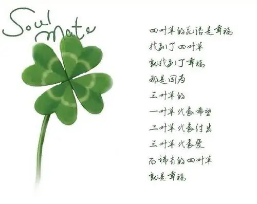 四叶草的花语:真爱