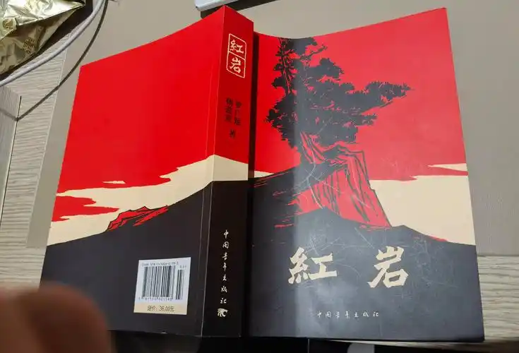 米哥资源库 的想法: 延安培训夜读《红岩》