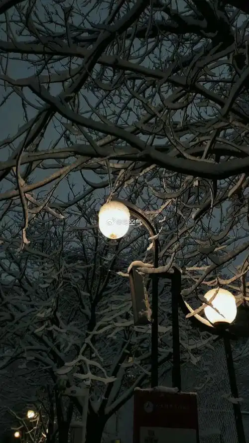 2525】氛围感黑色壁纸#朋友圈背景图##ins手机壁纸简约可爱全屏无水印