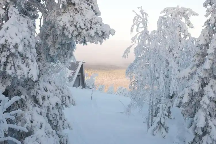 唯美冬季雪景风景图片第10张