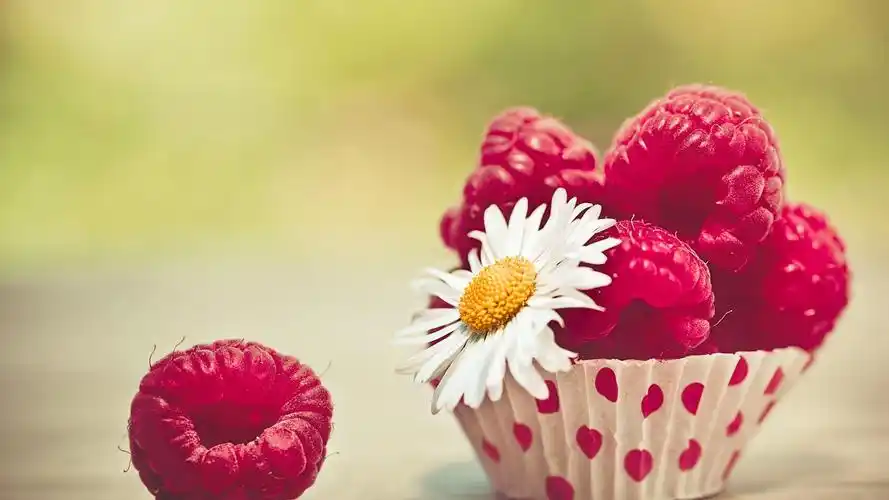 树莓甘菊唯美小清新桌面壁纸