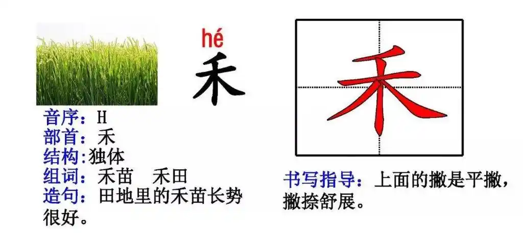 部编版一年级上册生字卡片(偏旁,部首,组词,造句)